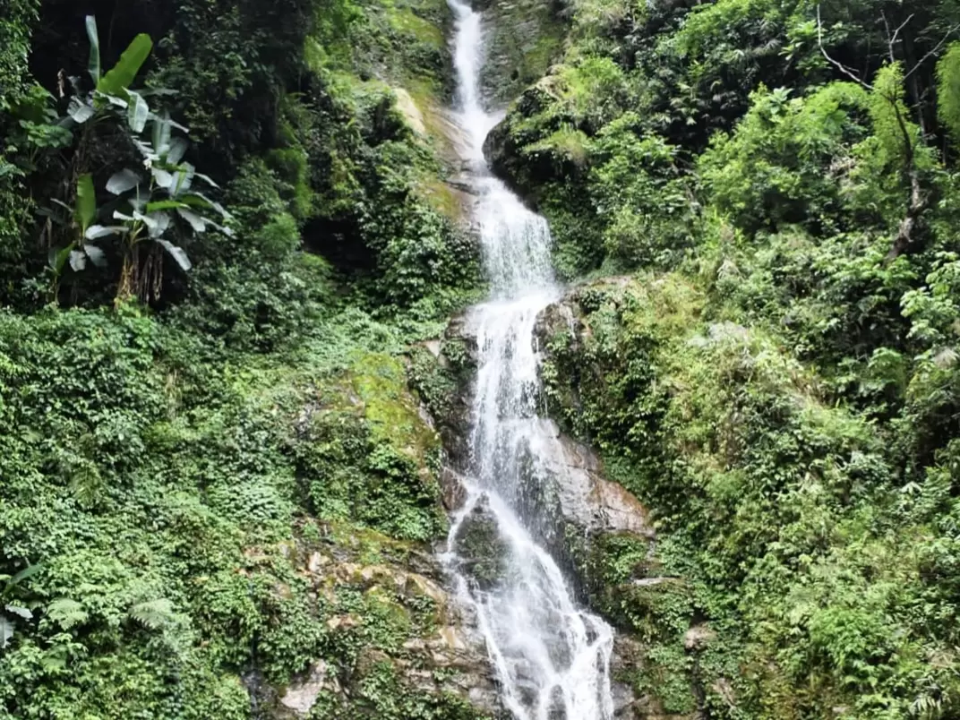 Rimbi Waterfall near Pelling cascading through lush green forest cliffs, serene nature spot for photography, perfect romantic Pelling tour package.