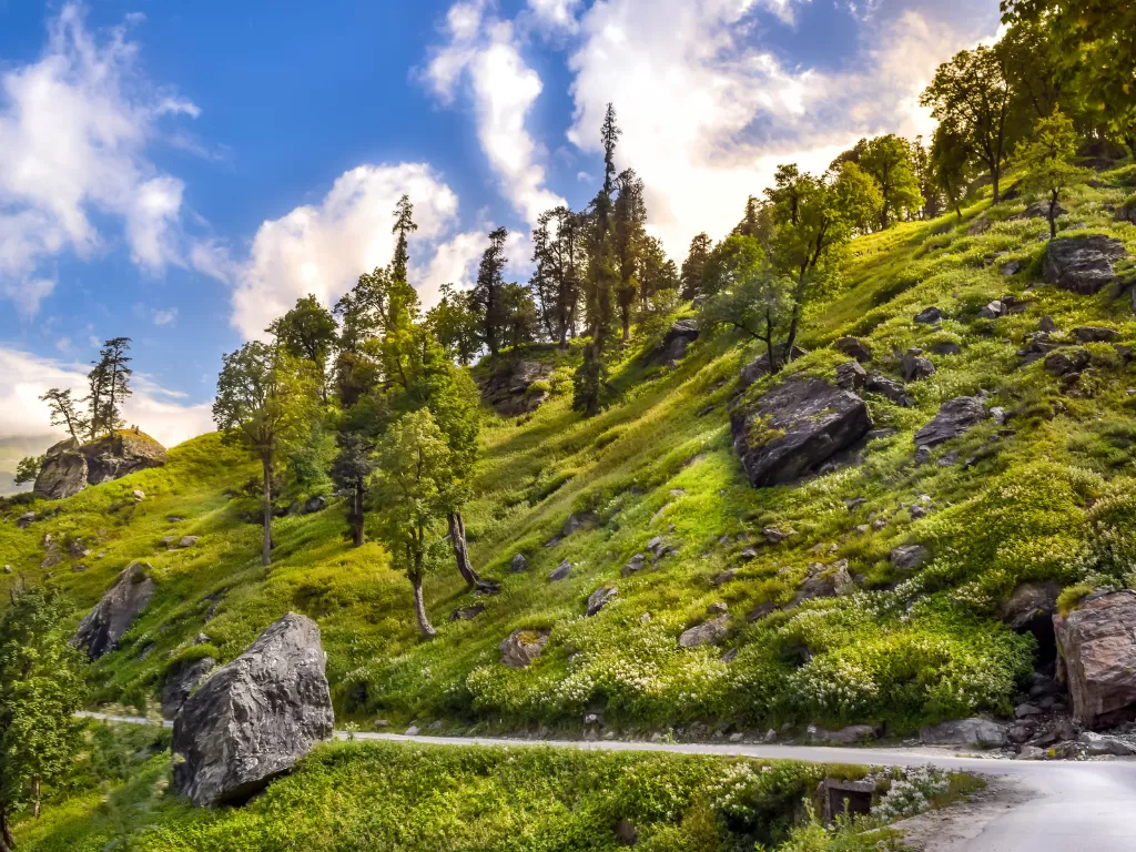 Mountain drive at Rohtang Pass Manali during partly cloudy skies, featuring pine trees rocky outcrops and lush green slopes, perfect adventure experience Himachal Pradesh tour package.