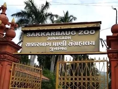 Sakkarbaug Zoological Park Junagadh, historic zoo in Gujarat, famous for Asiatic lions and wildlife conservation in India.