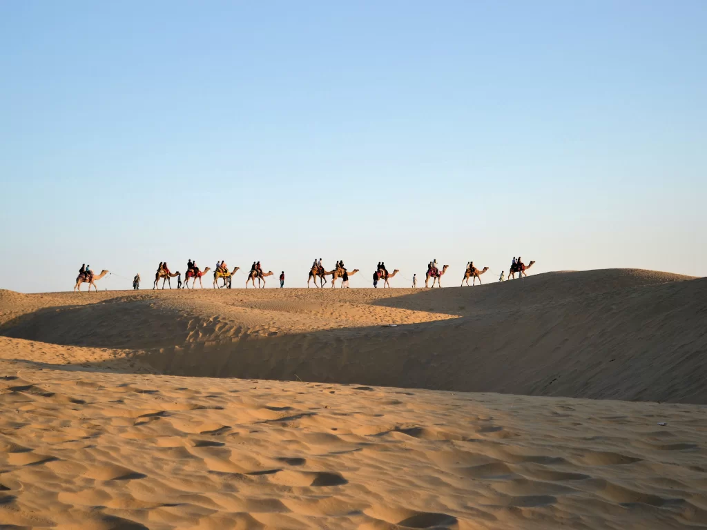 Long camel caravan trekking golden sand dunes at Jaisalmer during twilight, featuring silhouetted riders on dune crest, perfect adventure experience in Rajasthan tour package.