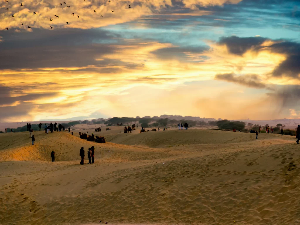 Camels trekking sand dunes at Sam Jaisalmer during sunset, featuring silhouetted riders, golden peaks and birds, perfect adventure experience in Rajasthan tour package.