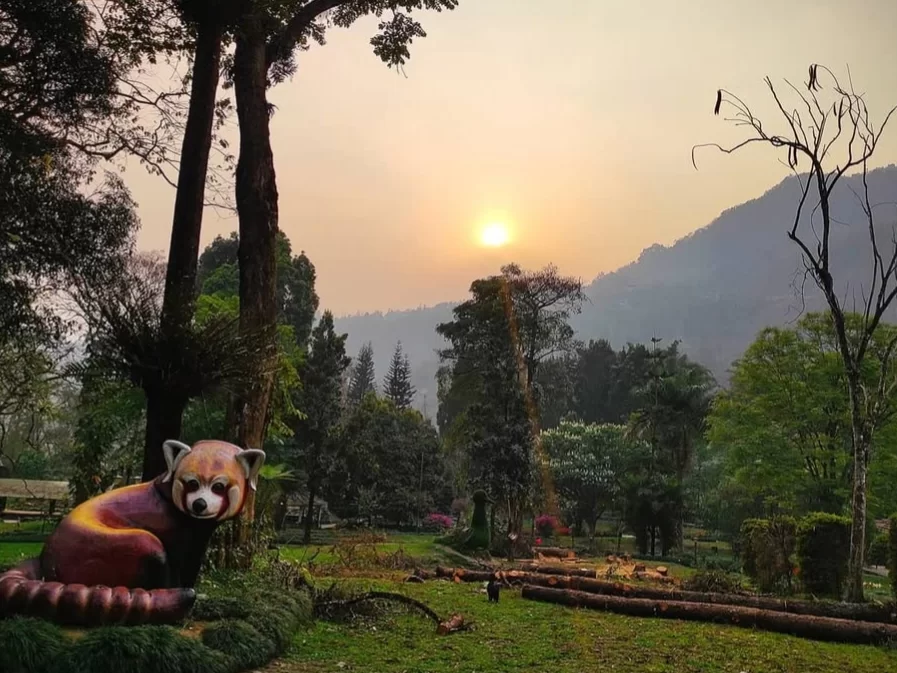 Saramsa Garden Gangtok Sikkim scenic botanical park with lush greenery and Himalayan sunset views