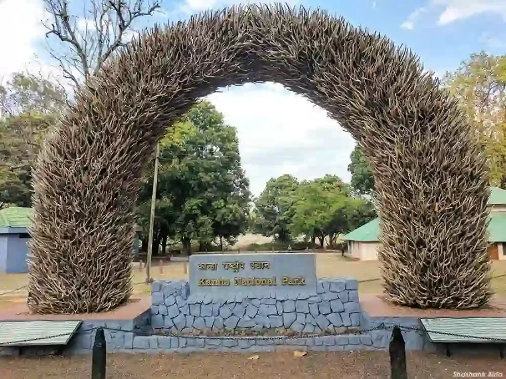 Sarhi Zone Kanha National Park scenic forest area and wildlife safari zone in Madhya Pradesh tour packages