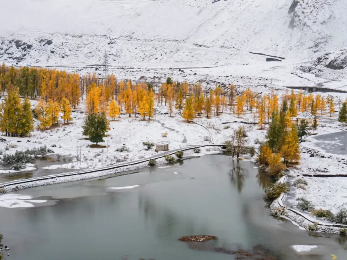 Sissu Lake autumnal golden poplar groves contrasting fresh snow on rugged peaks, icy turquoise waters with bridge and power lines, cloudy skies, perfect Himachal Pradesh tour package.