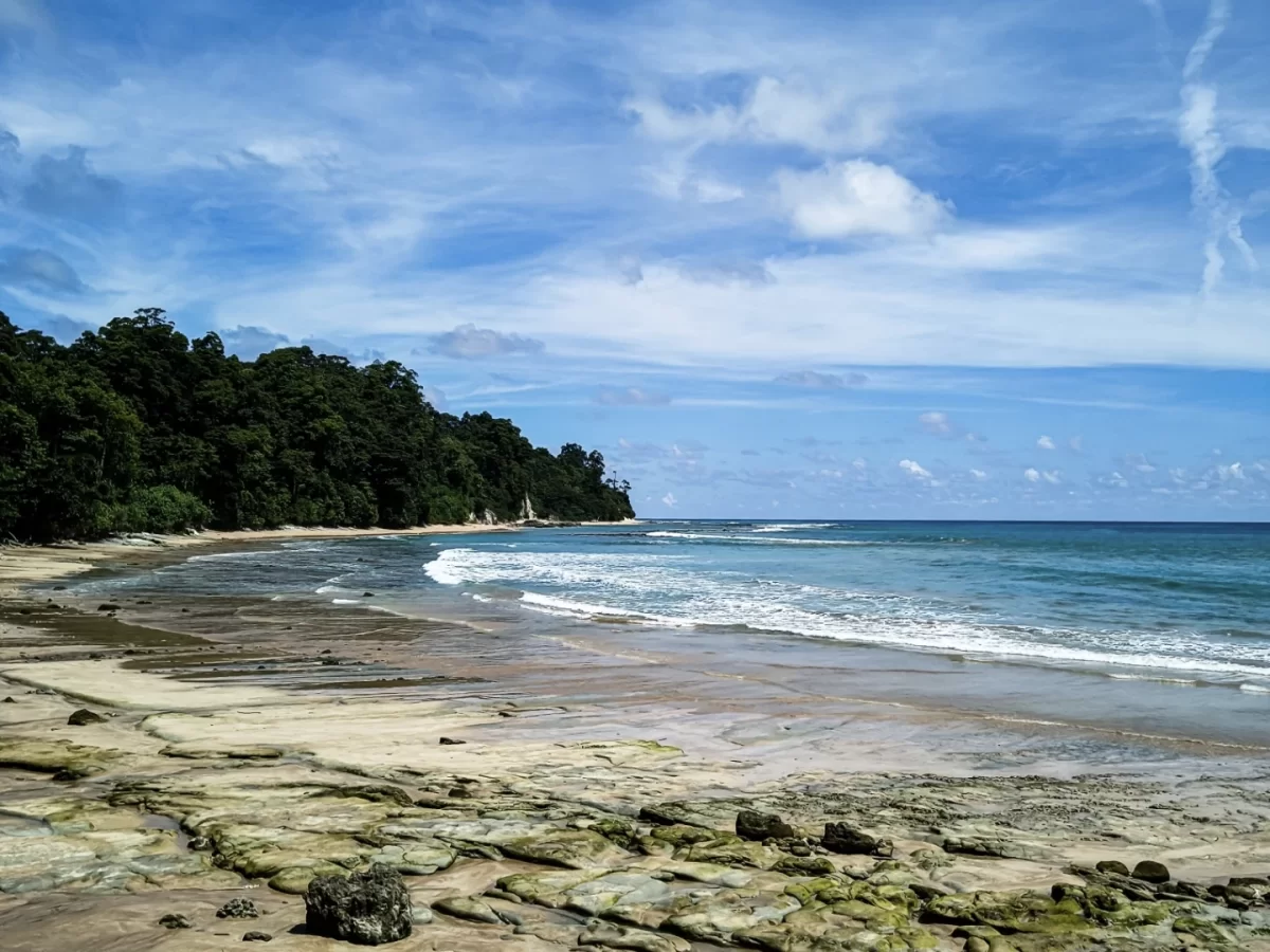 Rocky shoreline at Sitapur Beach in Neil Island at midday, featuring waves and forested cliffs, perfect Andaman beach tour package