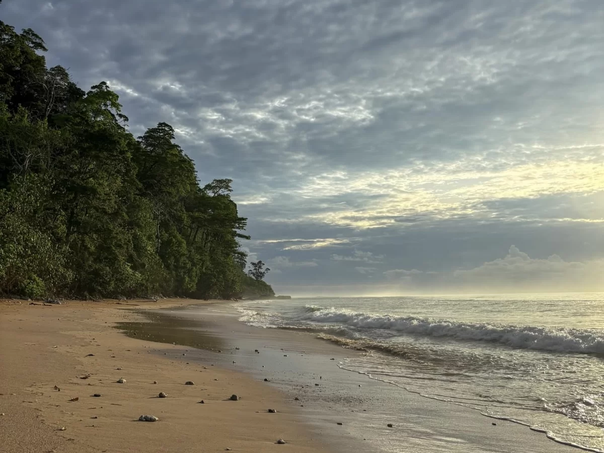 Golden morning shore at Sitapur Beach in Neil Island at sunrise, featuring gentle waves and forested coastline, perfect Andaman beach tour package