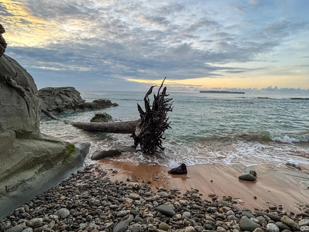 Driftwood shore at Sitapur Beach in Neil Island at sunrise, featuring rocky coastline and soft waves, perfect Andaman beach tour package