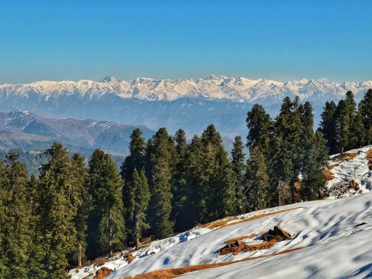 Snowy panorama at Skiing Point Narkanda during winter clear sky, featuring pine forests, distant Himalayan peaks, perfect adventure Himachal Pradesh tour package.