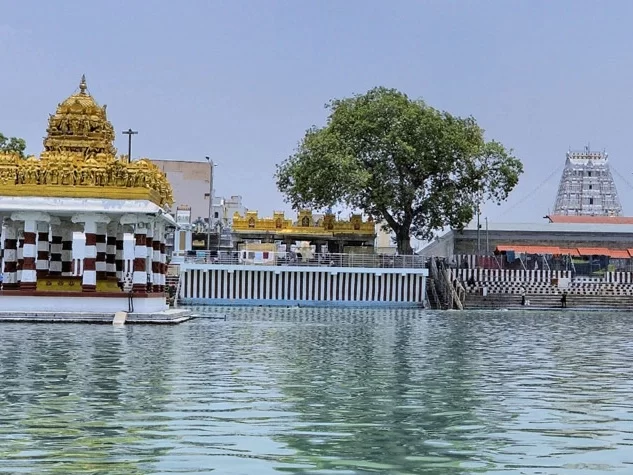 Sri Padmavathi Ammavari Temple, sacred Tiruchanur temple with holy pond in Andhra Pradesh.