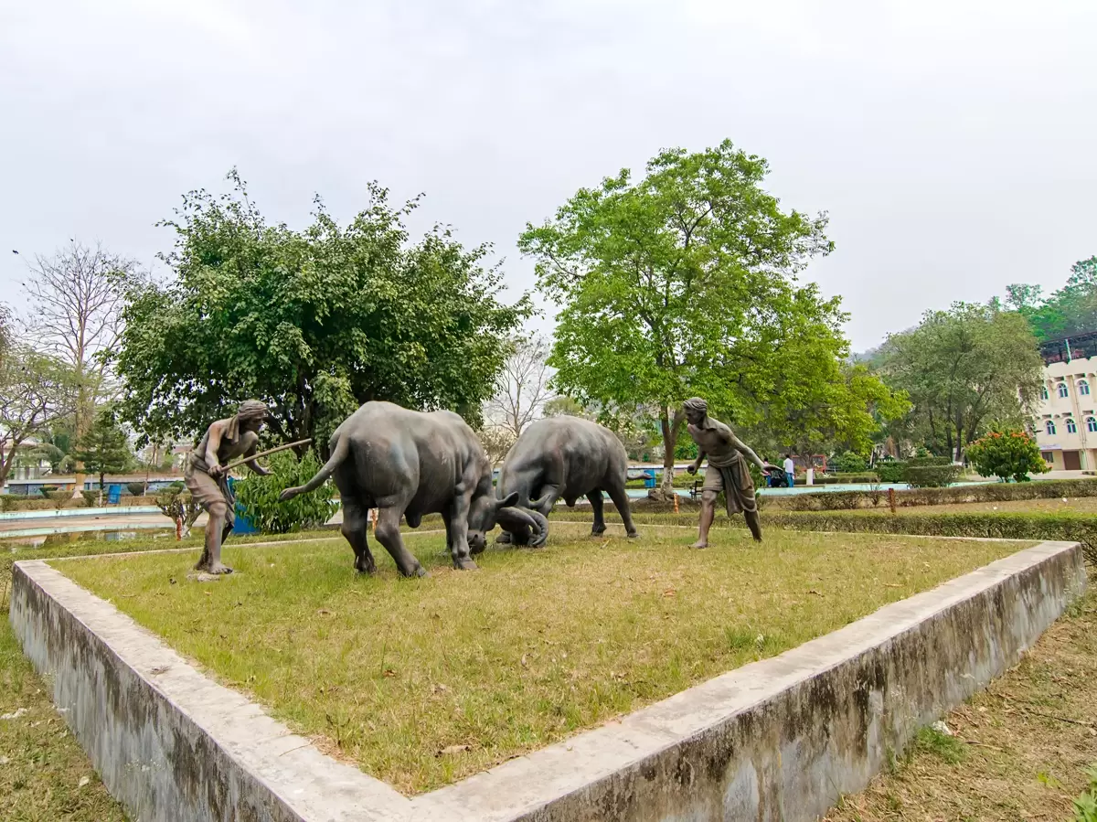 Bronze buffalo fight statues at Srimanta Sankardev Kalakshetra Guwahati during cloudy day, featuring handlers trees greenery, perfect cultural experience Assam tour package.