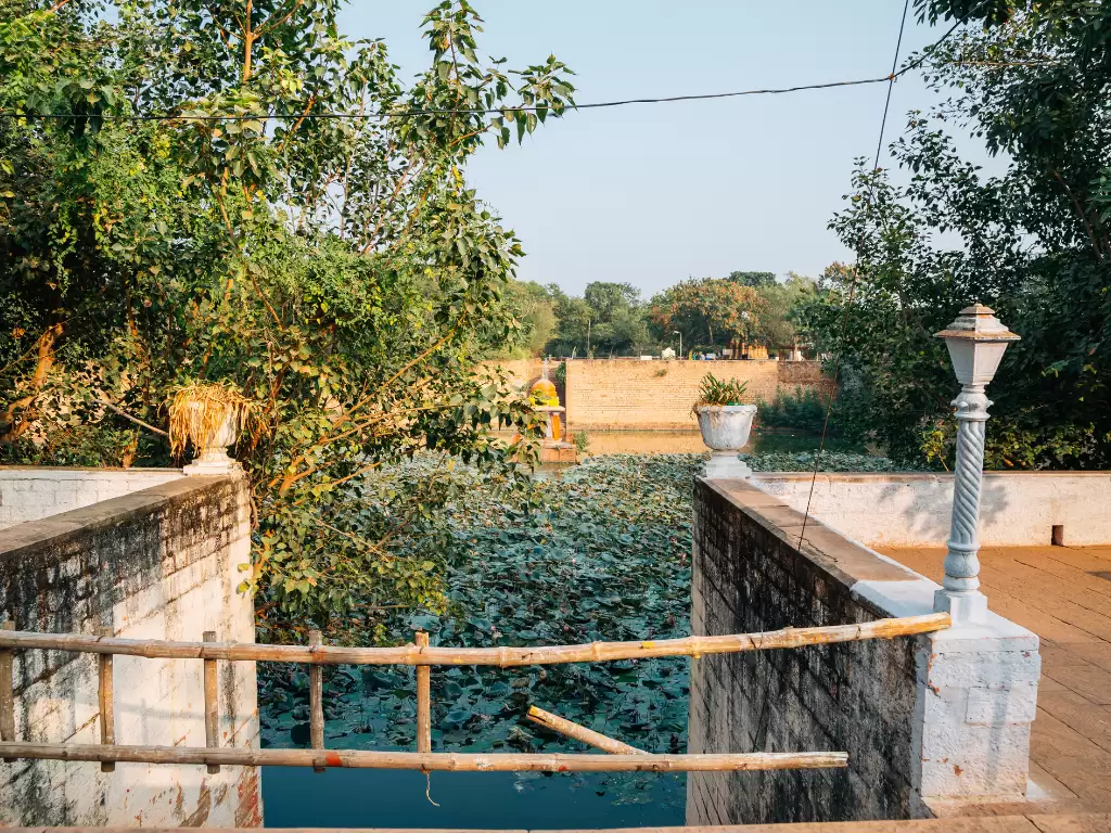 Suraj Kund at Gwalior Fort during golden hour, featuring lotus blooms and lush greenery reflections, perfect heritage experience with Madhya Pradesh tour packages.