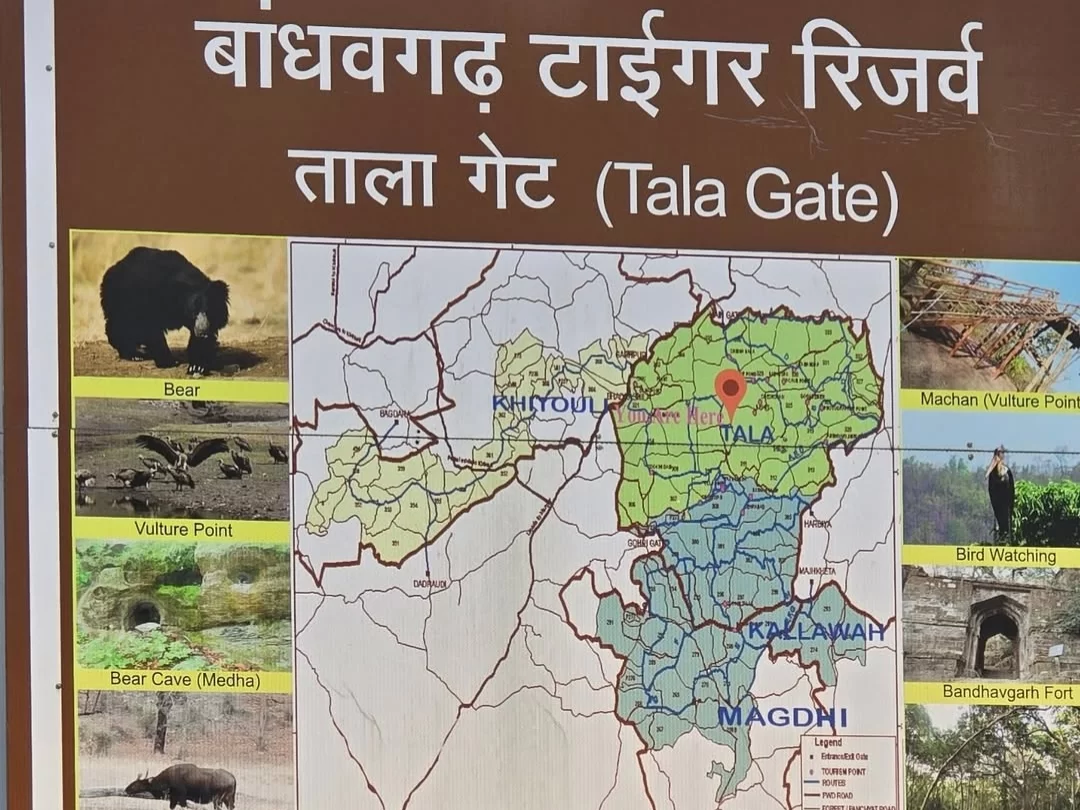 Bandhavgarh Tiger Reserve Tala Gate signboard in Tala Zone, Madhya Pradesh, displaying the park map and wildlife highlights, a major safari entry point included in Madhya Pradesh tour packages
