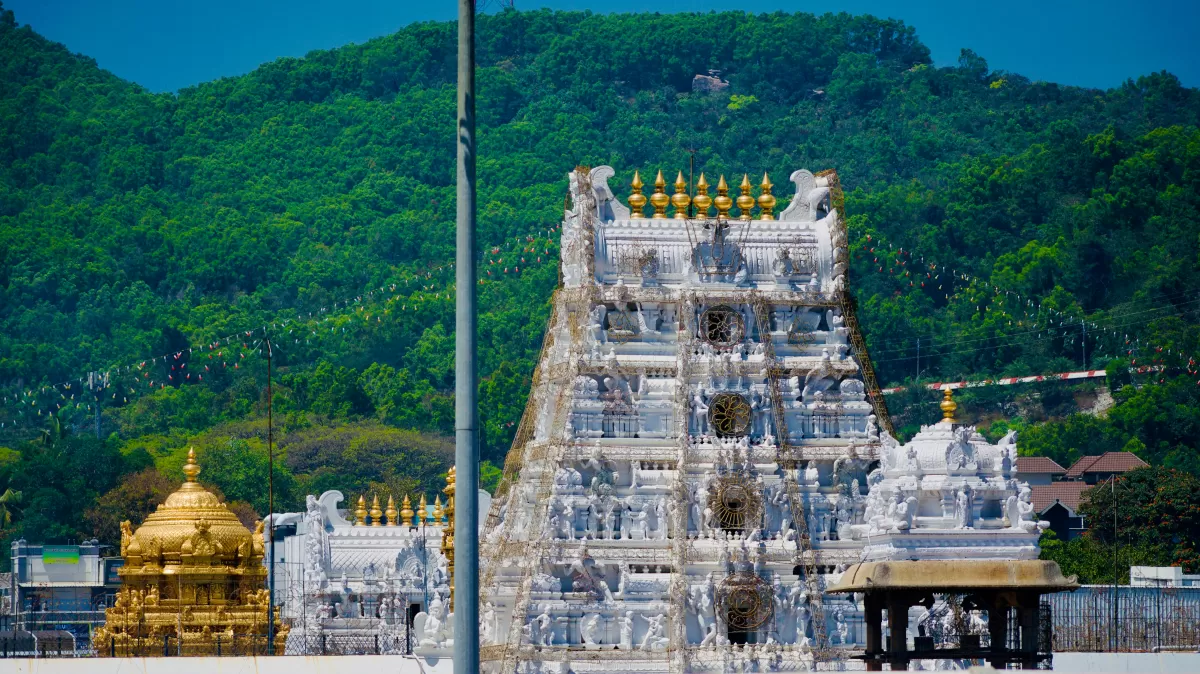 Tower view at Tirumala Venkateswara Temple Tirupati during clear day, featuring green hills and golden kalasa, perfect spiritual experience Tirupati tour package.