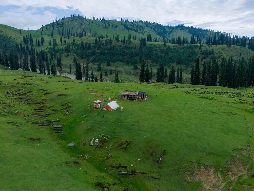Tosa Maidan Budgam vast alpine meadow with rolling green hills and pine forests in Kashmir Valley