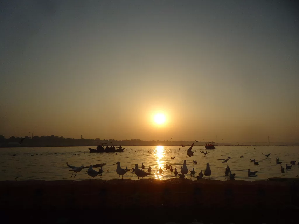 Triveni Sangam Prayagraj sunset, boats seagulls river golden reflections shoreline, perfect Uttar Pradesh tour package.