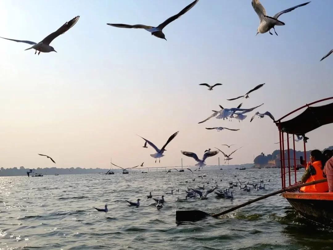 Triveni Sangam Prayagraj boat view evening, flying seagulls rowers boats river bridge ghats, perfect Uttar Pradesh tour package.