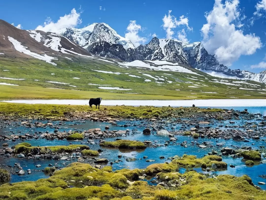Tso Lhamo Lake North Sikkim high altitude glacial lake with snow clad Himalayan peaks and alpine landscape