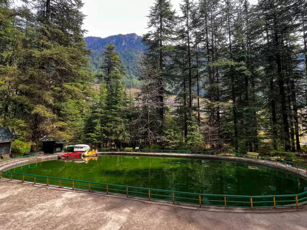 Boating at Van Vihar lake Manali during clear day, featuring green pool deodar trees and mountain backdrop, perfect romantic experience Himachal Pradesh tour package.