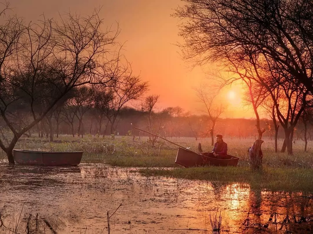 Van Vihar National Park in Bhopal, Madhya Pradesh, with a serene sunset view over the lake and trees, a scenic wildlife experience often included in Madhya Pradesh tour packages.