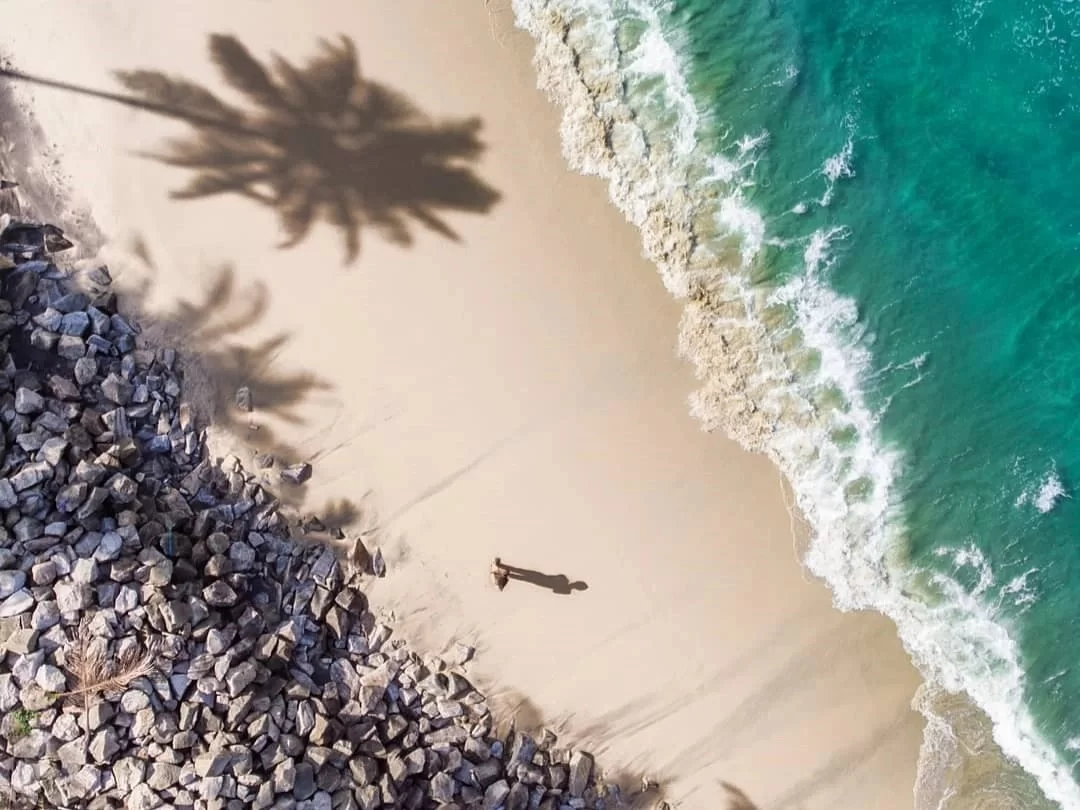 Varkala Beach in Kerala, aerial view of golden sands, turquoise waves and palm shadows.