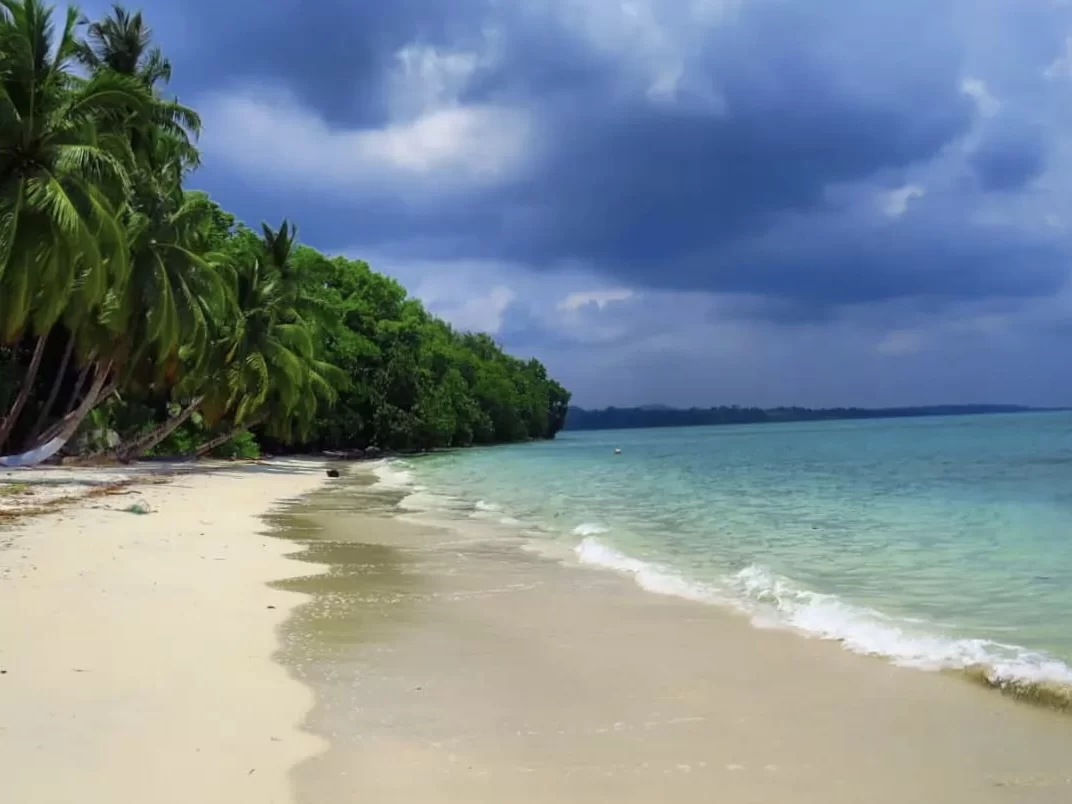 Vijaynagar Beach Kanyakumari pristine white sandy shore lined with swaying coconut palm trees under dramatic cloudy sky meeting turquoise Arabian Sea, tropical paradise near Nagercoil in Kanyakumari b