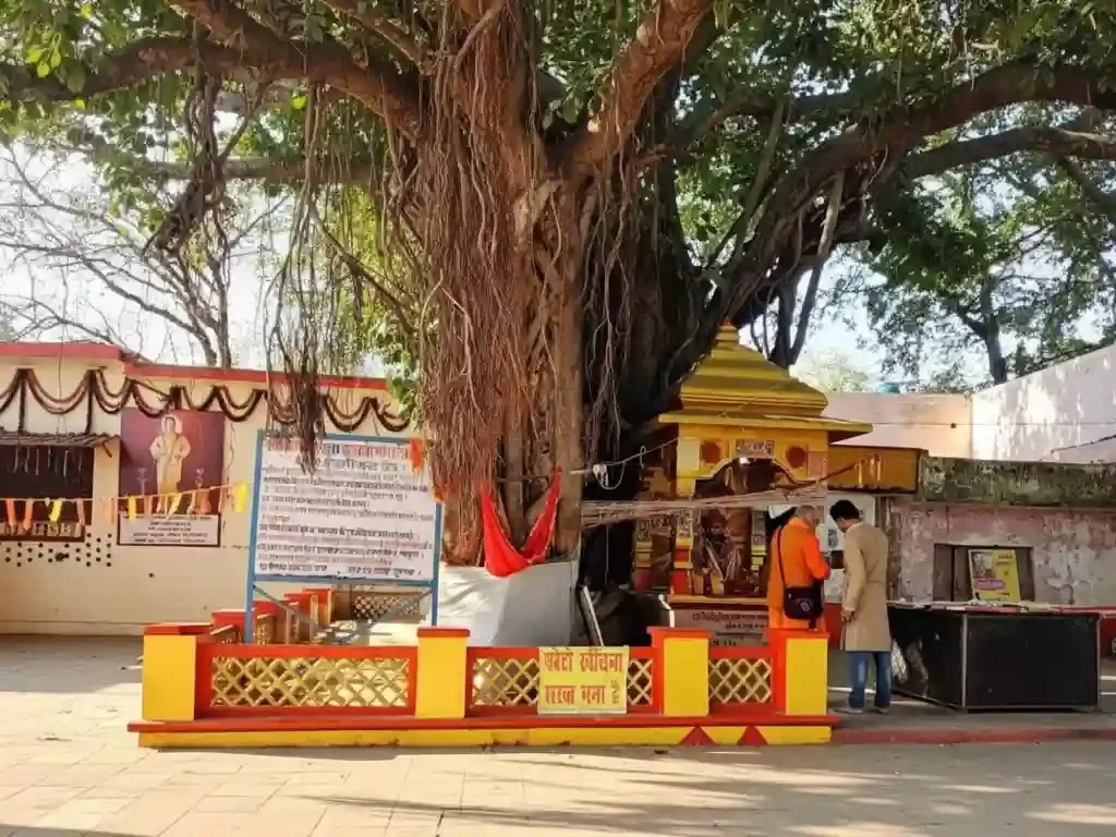 Vyas Gaddi Naimisharanya sacred Hindu site associated with Sage Ved Vyasa, revered spiritual spot beneath an ancient banyan tree in Uttar Pradesh.