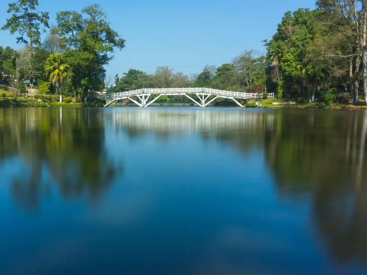 Ward's Lake Shillong Meghalaya iconic white wooden arched bridge palm trees lush green banks perfect mirror reflection calm blue water sunny day, perfect serene Northeast India hill station tour packages.