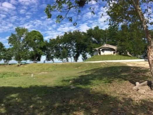 Western Bagori Range Kaziranga National Park Assam scenic grasslands and forest landscape in wildlife safari zone