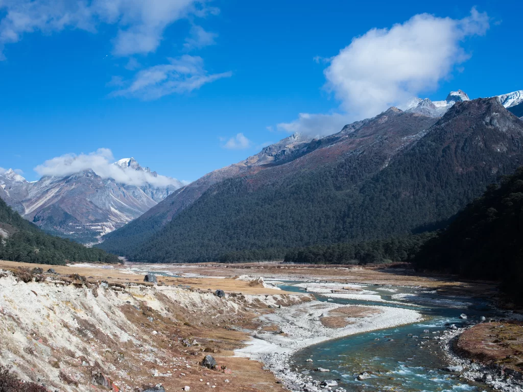 Yumthang Valley Sikkim autumn river amid snow peaks and golden meadows under blue sky with clouds, perfect adventure North Sikkim tour package.
