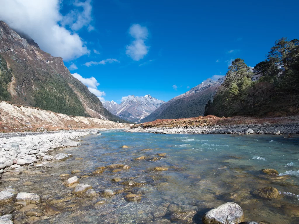 Yumthang Valley Sikkim turquoise river through rocky valley with snow peaks and pine forests under blue sky, perfect adventure North Sikkim tour package.