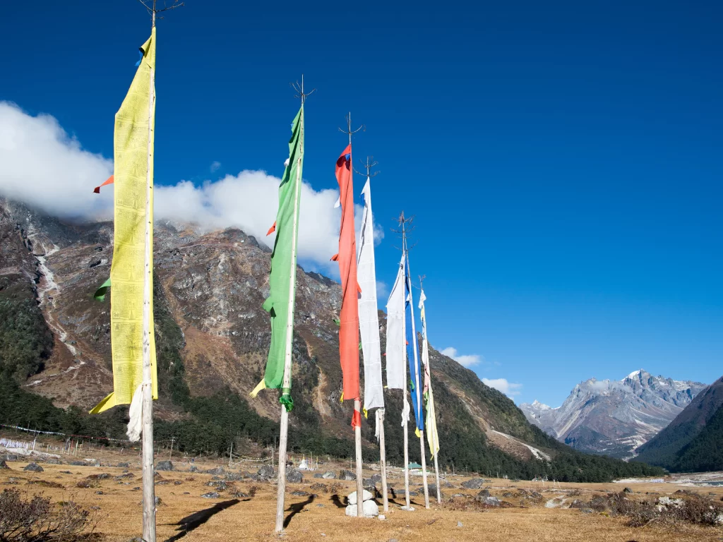 Colorful prayer flags at Yumthang Valley Sikkim against snow peaks under blue sky, perfect adventure North Sikkim tour package.