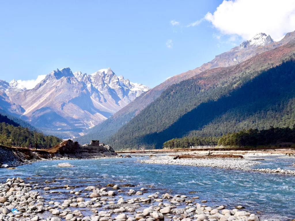 Yumthang Valley Sikkim river flowing through rocky valley with snow peaks and pine forests under clear blue sky, perfect adventure North Sikkim tour package.