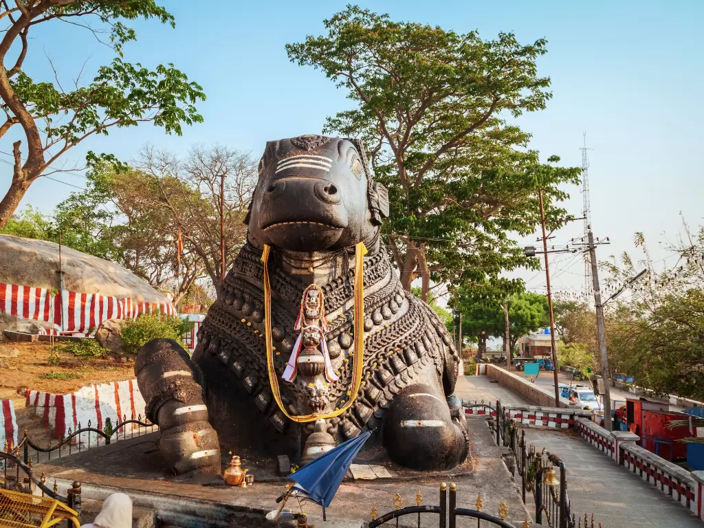 Giant Nandi statue on Chamundi Hills in Mysore during sunny daytime, featuring carved details, offerings and hilltop setting, perfect Karnataka tour package