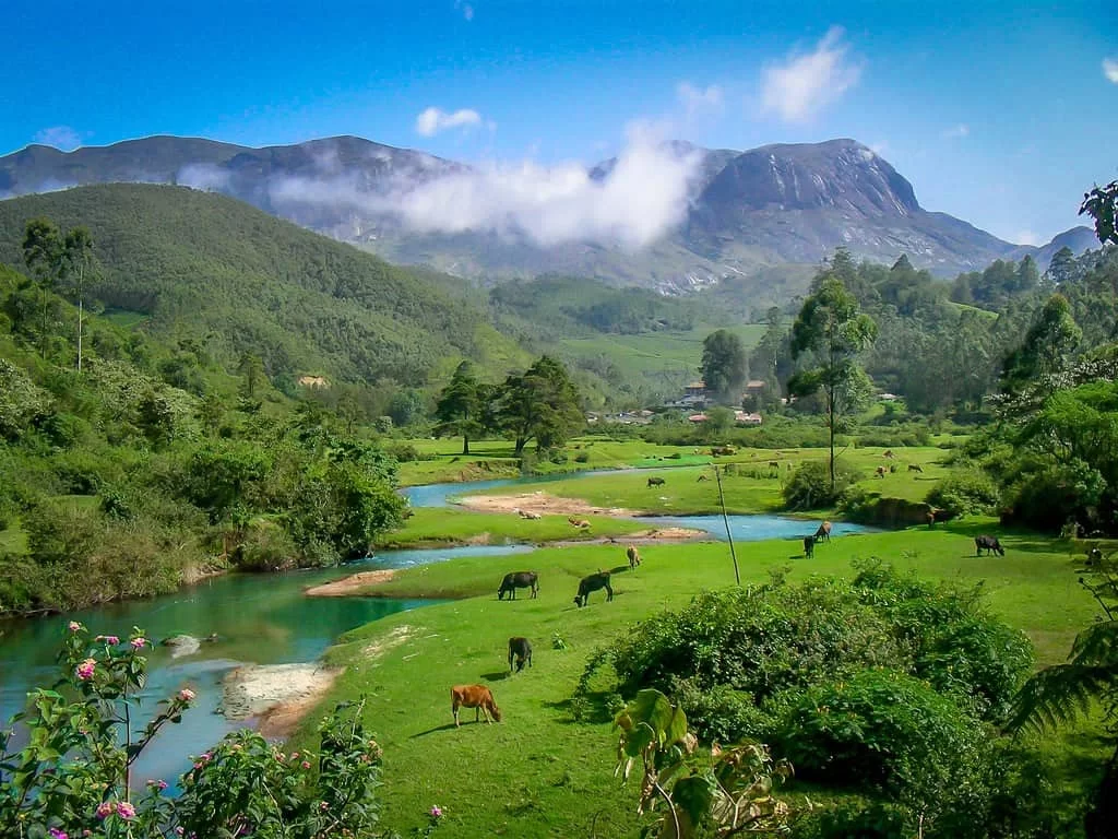 Anamudi View Point