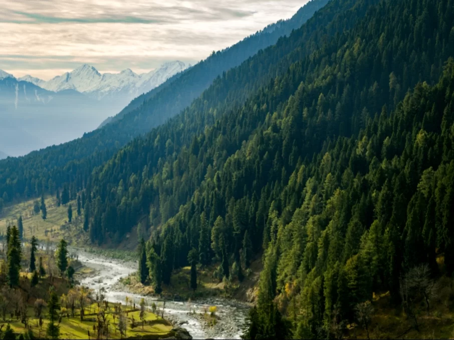 Lidder River valley in Aru Valley Pahalgam at golden hour, featuring pine forests green meadows and distant snow peaks, perfect romantic experience Kashmir tour packages.