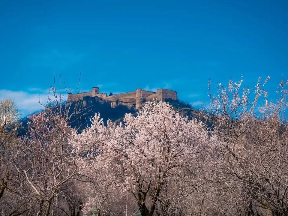 Badamwari Srinagar almond blossoms Hari Parbat Fort Zabarwan mountains blue sky featured in Kashmir tour packages