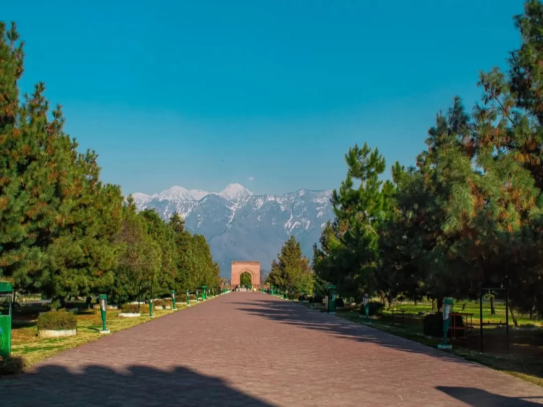 Badamwari Bagh Srinagar pine avenue red archway snow-capped Zabarwan mountains blue sky featured in Kashmir tour packages