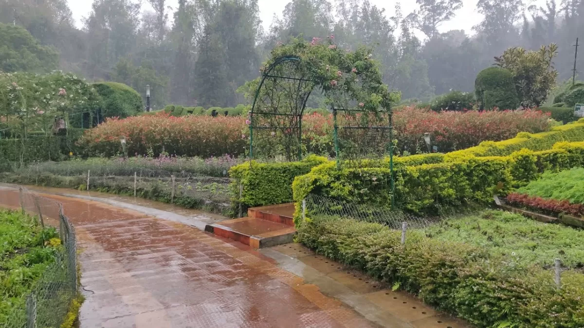 Bryant Park at Kodaikanal during rainy day, featuring flower gardens, rose arches, hedges, misty hills, perfect romantic experience Tamil Nadu tour packages.