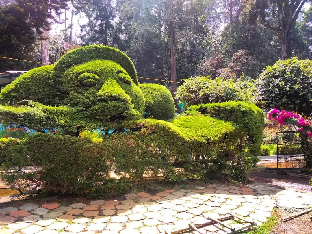 Topiary sculptures at Bryant Park Kodaikanal during sunny day, featuring giant face bush, green hedges, flowers, trees, perfect romantic experience Tamil Nadu tour packages.