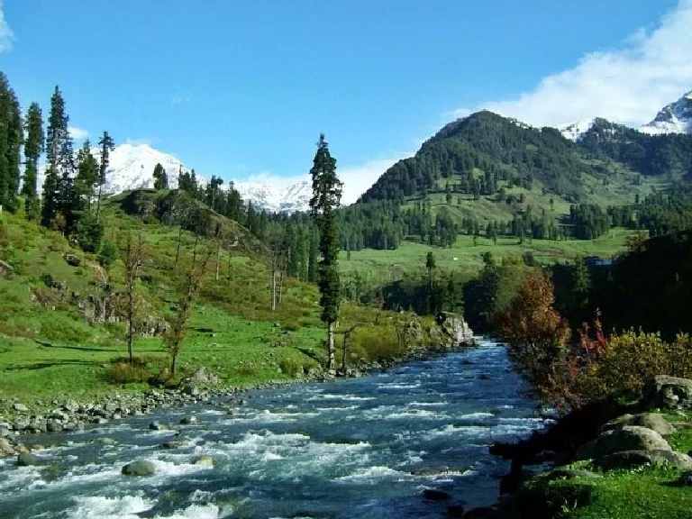 Chandanwari Valley Pahalgam Lidder River pine trees green meadows snowy Himalayan peaks Jammu Kashmir Amarnath Yatra base camp tour packages. 