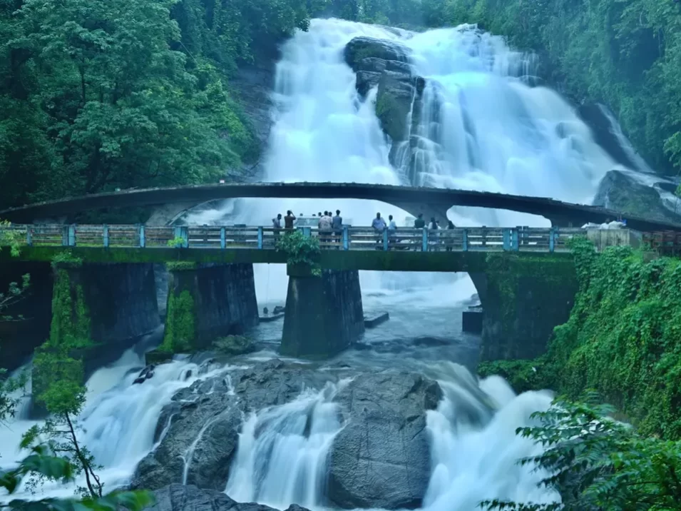 Charpa Waterfall, Kerala India scenic Athirappilly route cascade with lush greenery and bridge viewpoint.
