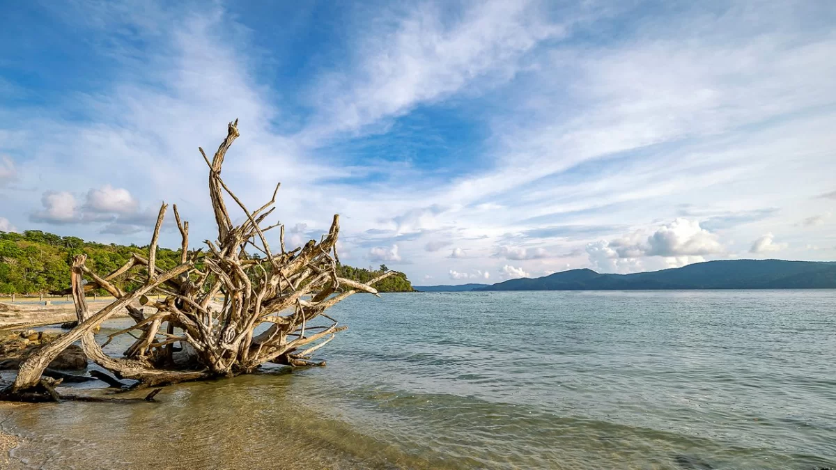 Chidiya Tapu Beach