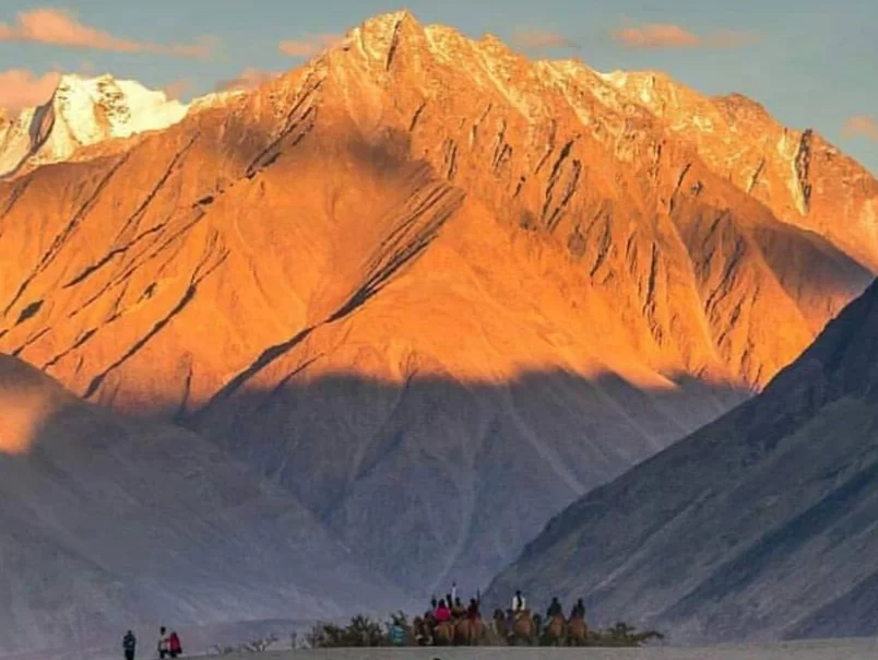 Sand Dunes Nubra Valley
