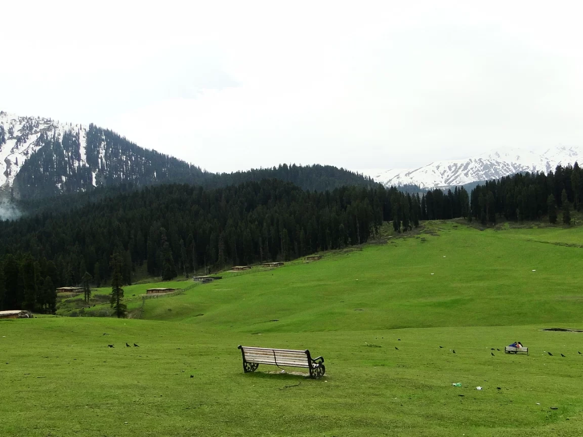 Doodhpathri Kashmir meadow wooden bench snowy Pir Panjal peaks, lush green pastures pine forests shepherd huts, perfect Budgam Valley alpine meadow package. 