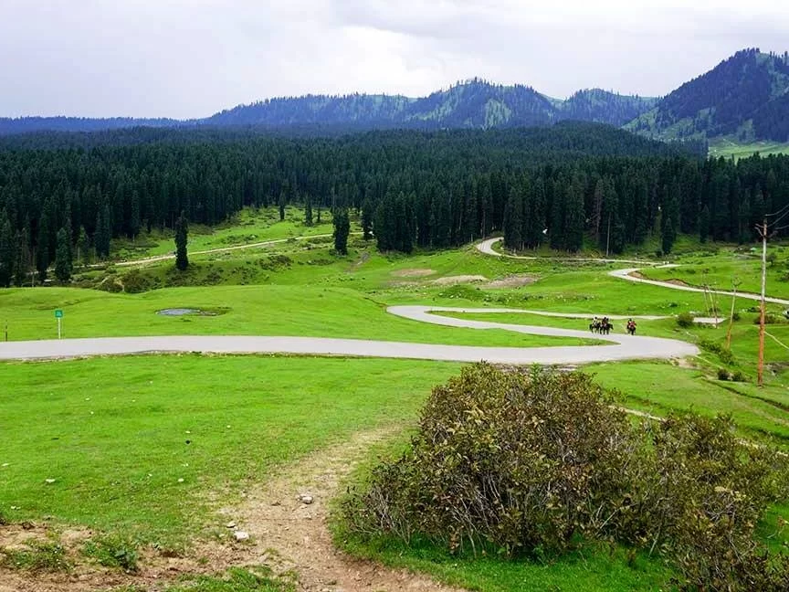 Doodhpathri Kashmir winding road lush green meadows pine forests, misty Pir Panjal mountains shepherd ponies trails, perfect Budgam Valley scenic drive package. 