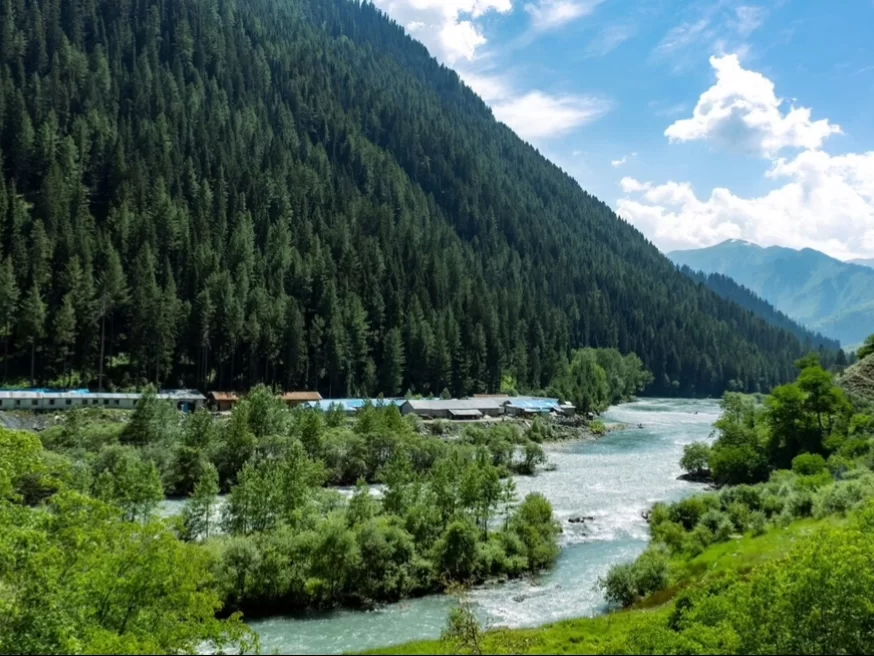 Gurez Valley Kashmir train blue coaches riverside, featuring pine forested mountains turquoise river greenery sunny skies, perfect adventure experience Srinagar Kashmir tour packages.