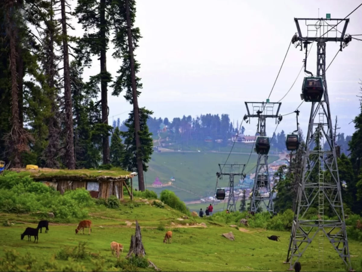 Gurez cable car ride Kashmir cloudy day, featuring gondolas pine forests green meadows grazing cows huts mountains, perfect adventure experience Gurez tour package.