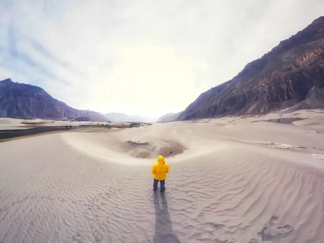 Solitary yellow jacket traveler vast sand dunes towering Ladakh mountains Hunder Nubra Valley cold desert landscape camel safari tour package Diskit Leh perfect adventure trekking photography spot.