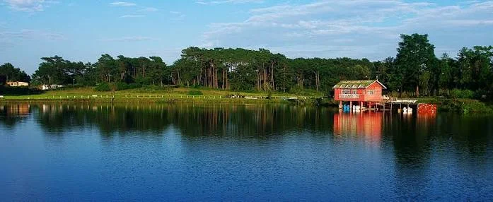 Thadlaskein Lake in Jaintia Hills featuring calm blue waters, scenic shoreline reflections, and lush pine trees, perfect nature experience with Meghalaya tour package.