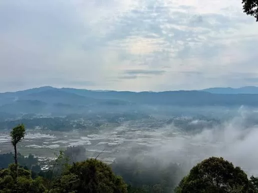 Pamu Yalang